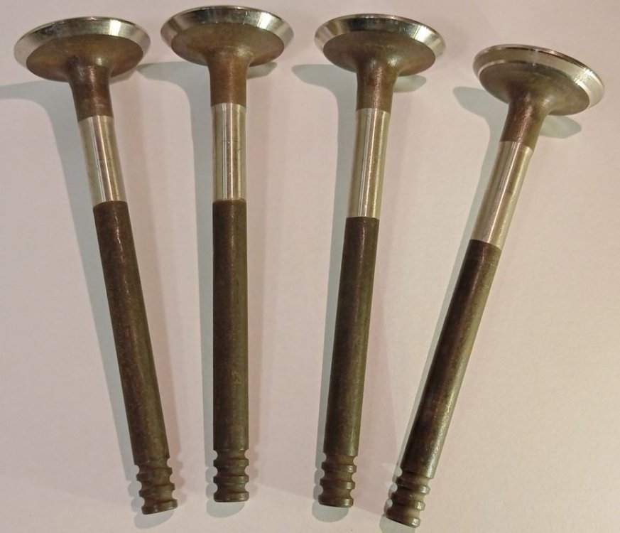 Valves.thumb.jpg.0b334997919726fa9cb5b33692cc6318.jpg