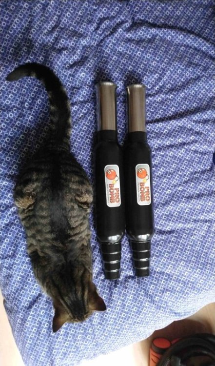 997579814_exhaust01.thumb.JPG.fc3559c54fbf2036d7e9812e470a5140.JPG