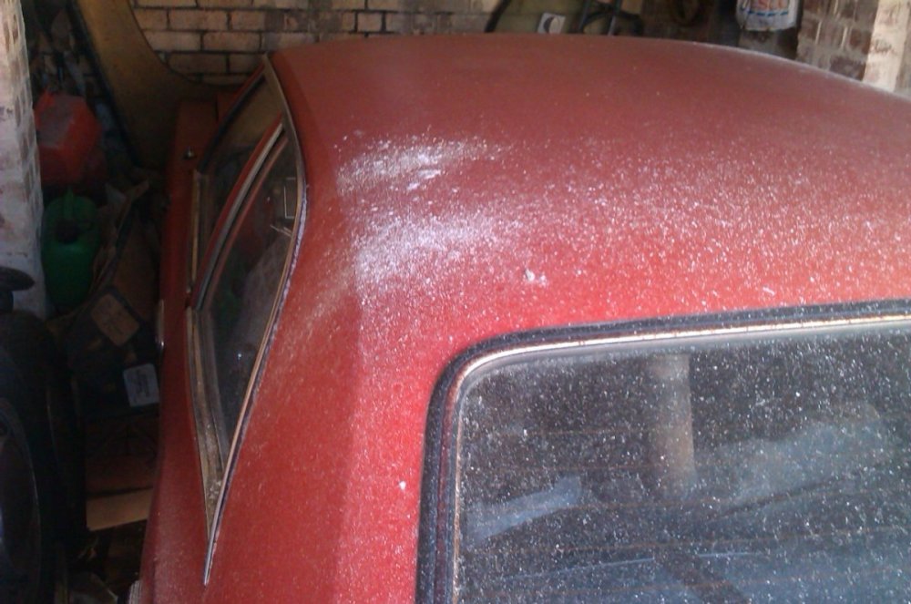 IMAG0133.jpg